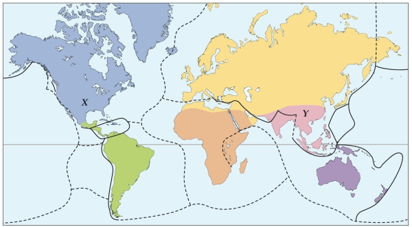 Refer to the figure.   - Which biogeographical region is represented by Y? A)  Oriental B)  Palearctic C)  Pacificia D)  Nearctic