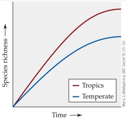 Refer to the figure.   Which of the following hypotheses for the global latitudinal gradient in species is not supported by the figure? A)  The tropics and temperate regions have had similar speciation rates, but extinction rates have been lower in the tropics. B)  The tropics and temperate regions have had similar extinction rates, but speciation rates have been higher in the tropics. C)  The tropics have had more time for diversification than temperate regions have. D)  Temperate regions have experienced lower diversification rates than the tropics have.