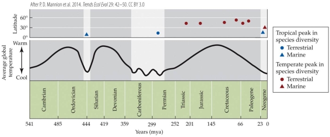 Refer to the figure.   Which of the following statements is most clearly supported by the data in the figure? A)  The current latitudinal gradient in species richness is likely due to much higher speciation rates in the tropics than in temperate regions over millions of years. B)  The current latitudinal gradient in species richness is likely due to greater environmental stability in the tropics across hundreds of millions of years. C)  The current latitudinal gradient in species richness could invert if average global temperature decreased substantially. D)  The current latitudinal gradient in species richness could invert if average global temperature increased substantially.