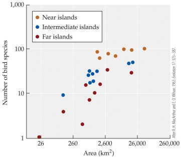 <strong>Refer to the figure. - The figure shows bird species richness for islands of different sizes that are close to New Guinea, far from New Guinea, or intermediate in distance from New Guinea. Based on this figure, which of the following statements is false?</strong> A) Islands closer to New Guinea tend to have more bird species than islands that are farther away. B) Larger islands tend to have more species of birds, independent of distance from New Guinea. C) For a given island size, near islands tend to have more bird species than far islands. D) Islands that are large but far from New Guinea are likely to have the most bird species.