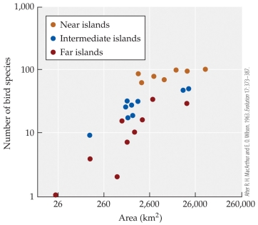 Refer to the figure.    -The figure shows bird species richness for islands of different sizes that are close to New Guinea, far from New Guinea, or intermediate in distance from New Guinea. Based on the figure, an island of around 2,600 km<sup>2</sup> in area that is far from New Guinea has approximately how many bird species? A)  40 B)  60 C)  80 D)  100