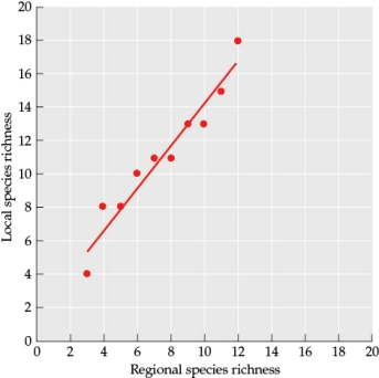 Refer to the figure. Figure 2    You are investigating patterns of species richness on two different continents (Continent 1 and Continent 2) to determine how species richness patterns differ between them. For multiple study sites on each of the two continents, you sample the local species richness and compare it to the species richness of the broader region to which each site belongs. Examine the data in Figure 2 closely. Would you ever expect to observe this relationship between regional and local species richness in nature? Why or why not?