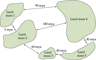 Refer to the figure. Figure 3    Figure 3 shows long-term patterns of continental movement for five large land masses, illustrating the location of the land masses during an active period of land mass movement, at about 40 mya. The arrows indicate the direction of land mass movement and the numbers indicate the approximate timing (mya) of these events. Determine the most likely locations for the following geologic features and answer the following questions: a) The oldest mid-ocean ridge would be between which land masses? b) Subduction zones would be between which land masses? c) Which two areas would have the most recent mountain ranges?