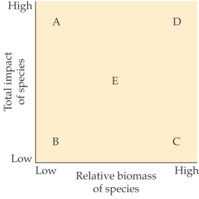 Refer to the figure.   - Where would a keystone species most likely be located in the figure? A)  Position A B)  Position B C)  Position D D)  Position E