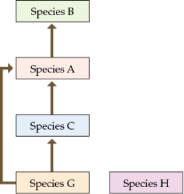 Refer to the table and the figure. Table 10    Figure 5 Food web in year 12    Suppose you are researching an ecological community in a new study area. You divide your study area into quadrats and sample one quadrat a day to determine the species that occupy the area and how many individuals of these species are present. Assume that by the end of your sampling efforts, you have identified all of the species that occur in the study area. You collect additional information on how biomass is transferred through your study system by determining the dietary components of each species during year 12 of your study. Table 10 shows the numbers of individuals that each other individual consumed during year 12. To read the data table, start at a species in column 1, read to the right across that row to find the number of individuals consumed, then read up to determine the species that it consumed. For example, species A consumed 0 individuals of species B (data cell outlined in bold). Refer to the data in Table 10 to understand the structure of the food web in the community in year 12.Answer the following questions: a) What role does species H play in the community in Year 12? b) Based on Figure 5, how should the loss of species G impact community structure in year 15? Does this differ from the original observed data? What do you think caused the difference in the observed species composition for year 15, and what would you have predicted based on the food web data? If you collected data on the food web in year 15, what differences would you expect from the structure of the food web at year 12? What additional information would be needed to construct a complete food web at year 15?