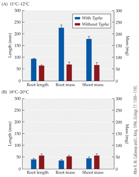 Refer to the figure.   The figure shows the influence of soil temperature on the interaction between two wetland plants, forget-me-nots and cattails. Cattails have extensive air channels for transporting oxygen in their leaves, stems, and roots. Forget-me-nots lack air channels. Based on the figure, as soil temperature increased, the influence of cattails on the growth of forget-me-nots changed from A)  neutral to negative (no effect to competition) . B)  positive to negative (facilitation to competition) . C)  negative to positive (competition to facilitation) . D)  positive to neutral (facilitation to no effect) .
