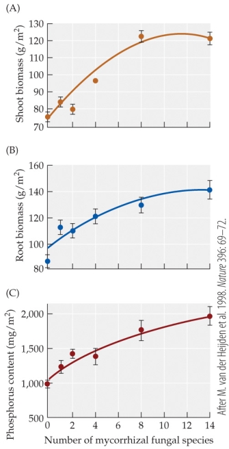 Refer to the figure.   In the study by van der Heijden and colleagues comparing the effects of differing numbers of mycorrhizal species (0?-14)  on the same 15 plant species, the shoot biomass of the target plants was found to A)  increase steadily with the number of mycorrhizal fungal species. B)  increase at first and then level off as the number of mycorrhizal fungal species increased. C)  increase at first but then drop sharply as the number of mycorrhizal fungal species increased. D)  be high when only a few mycorrhizal fungal species were present and then decrease as more were added.