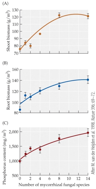 Refer to the figure.   In the study illustrated in the figure, van der Heijden and colleagues compared the effects of differing numbers of mycorrhizal species (0?-14)  on the same 15 plant species. They measured the effects of this mycorrhizal species diversity on net primary production (measured as shoot and root biomass)  and on cycling of nutrients (measured as phosphorus content) . Based on the figure, what can be concluded about the effect of mycorrhizal diversity on plant ecosystems? A)  All three factors decrease, indicating that mycorrhizal diversity inhibits plant growth. B)  All three factors increase, indicating that mycorrhizal diversity improves plant growth. C)  There appears to be little change in any of the three factors; thus, mycorrhizal diversity has little effect on plant growth. D)  Shoot biomass and phosphorus content increase, but root biomass shows little change, indicating that the presence of mycorrhizae in soil depresses root growth.