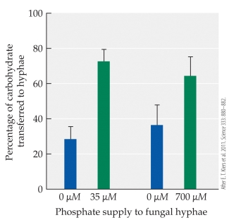Refer to the figures.      The two figures represent the results of studies on a mutualism between the plant Medicago and its partner, a mycorrhizal fungus. The top figure shows the percentage of carbohydrate transferred from the plant to the fungus, depending on the amount of phosphorus the fungus supplies to the plant. The bottom figure shows the amount of fungal phosphorus incorporated by plant roots, depending on the amount of carbohydrate supplied to the fungus. Given the information in these two figures, does the mutualism appear to be under the control of the plant or the fungus, or do both partners exercise some control?