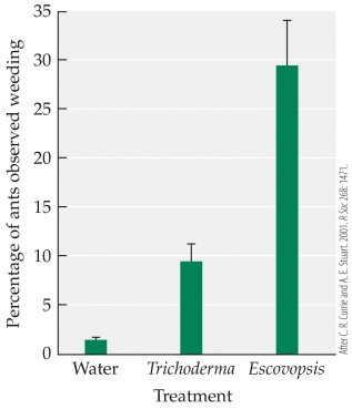 Refer to the figure.    Leaf-cutter ant colonies, which farm fungi for food, are often infested with a specialized parasitic fungus called Escovopsis. Under normal conditions, the ants periodically  weed  their fungal gardens, removing unwanted materials and organisms. The figure illustrates results of an experiment showing what happens to weeding behavior when the ant colony is exposed to water, to Trichoderma (a generalist fungal parasite), and to Escovopsis. What does this figure suggest about the mutualism between leaf-cutter ants and the fungi they farm?