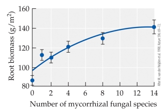 Refer to the figure.   In the study by van der Heijden et al. of mycorrhizal fungi, the root biomass of the target plants (shown in the figure)  was found to A)  increase at first and then level off as the number of fungal species was increased. B)  increase steadily as the number of fungal species was increased. C)  be highest when the fungal species were at an intermediate level. D)  be high when there were only a few fungal species present and then decrease as more were added.