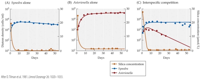 Refer to the figure.   An unknown diatom is collected from a sample of sea water. The researcher is asked to grow the diatom in the laboratory and identify it based on the culture's density and silica level. At day 10, 20, and 30, the diatom density is almost 10<sup>4</sup> and silica levels are almost zero. Which species has the researcher cultured? A)  Synedra B)  Asterionella C)  Synedra with an unknown D)  Neither Synedra nor Asterionella.