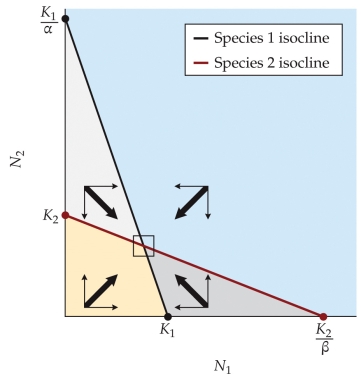 Refer to the Figure. Based on the Figure, What is the Expected | Biology+