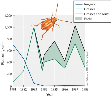 Refer to the figure.   What year(s)  did the biomass of grasses reach 1000 g/m<sup>2</sup>? A)  1983 B)  1983 and 1987 C)  1987 D)  1985 and 1987