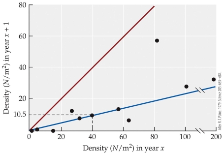 Refer to the figure.   A population of sea palms in year 1 has a density of 80 N/m<sup>2</sup>. The predicted density expected in year 2 is _______ N/m<sup>2 </sup>which is _______ the exact replacement curve. A)  60; below B)  19; above C)  19; below D)  80; below