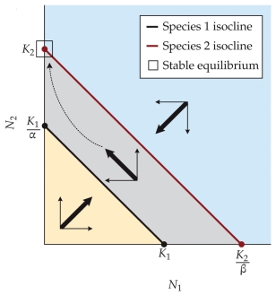 Refer to the figure.   Based on the figure, what is the expected outcome of the competition between species 1 and species 2? A)  Coexistence B)  Competitive exclusion of species 2 by species 1 C)  Competitive exclusion of species 1 by species 2 D)  Persistence of one species only; whichever one persists will depend on the initial conditions
