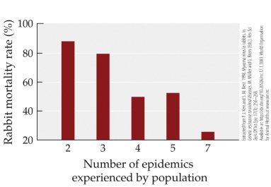 Refer to the figure.   A population of rabbits has a mortality rate of 40%. The population would be hypothesized to have experienced _______ epidemics. A)  0 B)  3 C)  5 D)  6