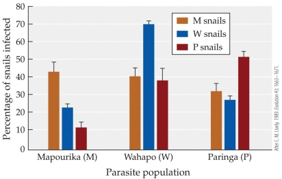 Refer to the figure.   While sampling lakes in New Zealand for the number of snails infected with the Microphallus parasite, you get lost and aren't sure which lake you're sampling from. After returning to the lab, you identify the snails as Lake Paringa snails and determine the percentage of snails infected to be ~10%. Which lake did you most likely collect the snails from? A)  Lake Mapourika B)  Lake Wahapo C)  Lake Paringa D)  None of the data matches this scenario so it must not have been one of the three lakes.