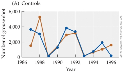 Refer to the figure.       The figure shows results from a study by Hudson and colleagues on red grouse and their nematode parasite. The figures show the cycling of six red grouse populations subjected to three treatments: (A)  two control populations, (B)  two populations treated for nematode parasites in 1989, and (C)  two populations treated for parasites in 1989 and 1993. Each of the six grouse populations is designated by a different color. These results show that removal of the parasite A)  caused host populations to collapse. B)  reduced the fluctuations of the grouse population. C)  increased the fluctuations of the grouse population. D)  halted population cycles in the red grouse.