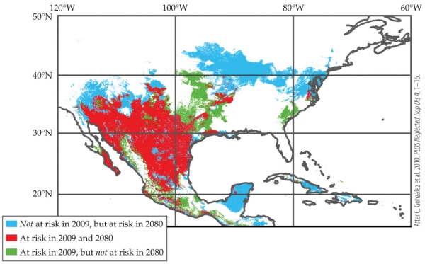 Refer to the figure.   A person living at 20<sup>o</sup>N, 90<sup>o</sup>W would A)  have the same risk of contracting leishmaniasis in 2009 as 2080. B)  have a decreased risk of contracting leishmaniasis in 2080 than in 2009. C)  be at risk of contracting leishmaniasis in 2009. D)  not be at risk of contracting leishmaniasis in 2009, but would be at risk in 2080.