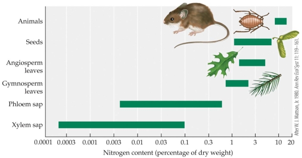 Refer to the figure.   Based on data in the figure, a newly discovered seed could be hypothesized to have a nitrogen content of _______? A)  0.003 B)  0.03 C)  0.3 D)  3