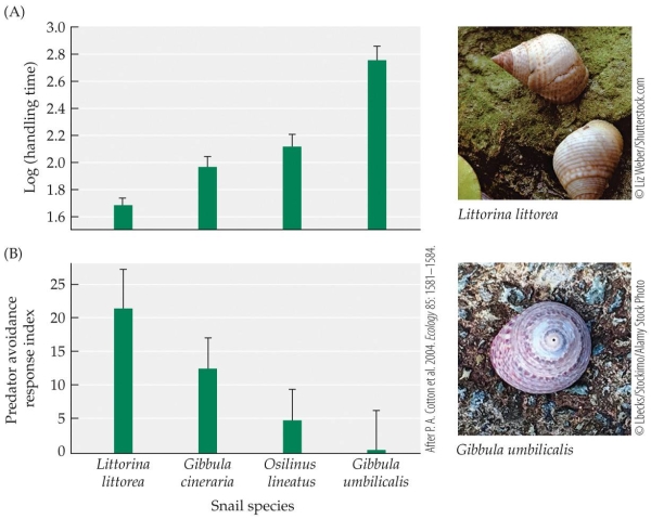 <strong>Refer to the figure.    - A new hypothetical species of green crabs is discovered that has a handling time of 2.4. Based on other green crabs' behavior, you hypothesize that the new species predator avoidance response index will be approximately</strong> A) 0. B) 3. C) 10. D) 15. <div style=padding-top: 35px> 
