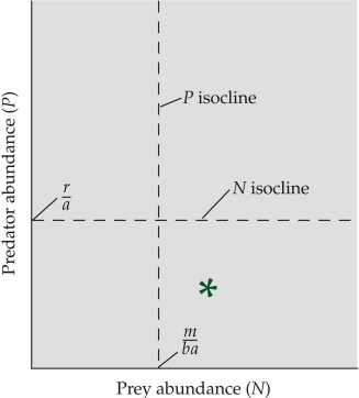 Refer to the figure.   The figure shows the interaction between predator abundance and prey abundance. Populations of lynx and hares are located at the star. Based on the Lotka-Volterra predator-prey model, we would expect the number of prey to _______ and the number of predators to _______. A)  increase; increase B)  increase; decrease C)  decrease; increase D)  decrease; stay the same