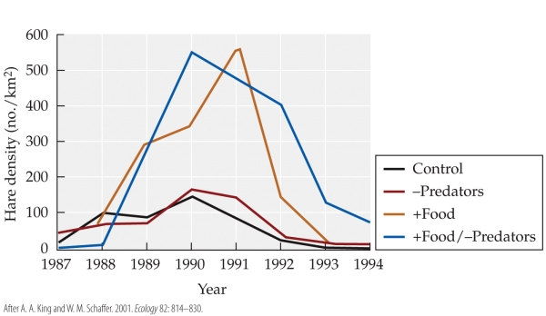 <strong>Refer to the figure.   What year was the +Food/-Predators hare density 400/km<sup>2</sup><sub> </sub>and decreasing?</strong> A) 1989 B) 1990 C) 1991 D) 1992 <div style=padding-top: 35px> 