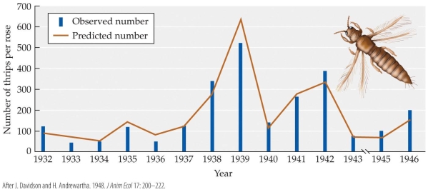 Refer to the figure.   Based on the figure, which statement about Davidson and Andrewartha's experiment on thrips (Thrips imaginis)  is true? A)  Davidson and Andrewartha's model of thrips per rose was exactly the same as the observed numbers. B)  The predicted numbers closely resembled the observed numbers. C)  The observed numbers of thrips was always lower that the predicted model but showed the same general trends. D)  The predicted numbers model accurately reflected the observed numbers some years but in other years the predicted model was very different than the observed numbers of thrips.
