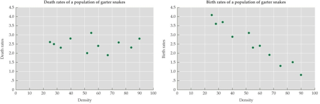 Refer to the figure.   The birth and death rates of a population of garter snakes were monitored over 11 years, during which time population density varied considerably. According to the figure, which statement about the populations is true? A) Density-independent factors are regulating population size. B) At high population sizes, the death rate is higher than it is at low population sizes. C) Birth rate declines at high population sizes. D) Birth rates equal death rates.