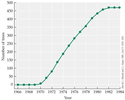 Refer to the figure.   Based on the figure, how long did it take willows to reach their carrying capacity in Australia? A)  It never reached carrying capacity. B)  12 months C)  1.2 years D)  12 years