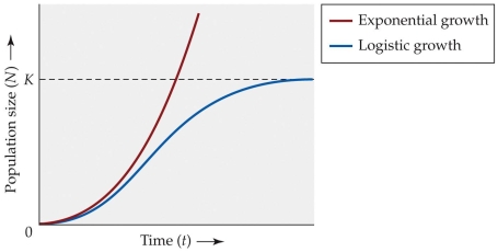 Refer to the figure.   Use the figure to determine the point at which the population growth rate is maximized under the logistic model. A)  The rate is maximized when N = K/2. B)  The rate is maximized when the population is extremely small. C)  The rate is maximized when K is reached. D)  The rate is maximized when K is surpassed.