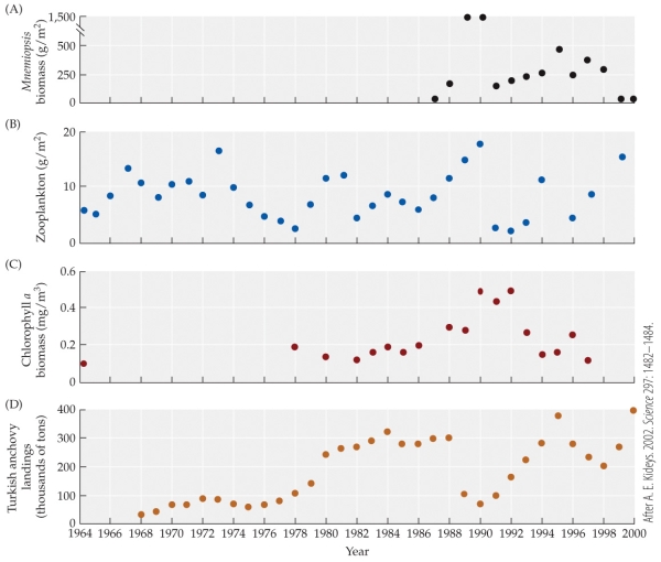 Refer to the figure.   - Based on the figure, which of the following most likely explains the rapid increase in zooplankton between 1996 and 1999? A)  Rapid decrease in chlorophyll a B)  Rapid increase in anchovies C)  Rapid decrease in Mnemiopsis D)  Rapid increase in Mnemiopsis