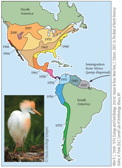 Refer to the figure.   Based on the pattern seen in the figure, you could suggest that _______ growth and _______ population expansion was occurring. A)  exponential; north and west B)  exponential; south and east C)  logistic; south and east D)  logistic; north and east