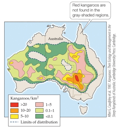 Refer to the figure.   Based on the figure, which statement about the red kangaroo range throughout Australia is true? A)  The highest population of red kangaroo is located along the coastline of Australia. B)  Red kangaroos were surveyed along the western coastline of Australia but not the eastern coastline. C)  Red kangaroos were regularly distributed throughout central Australia. D)  There are three areas of Australia that have red kangaroo populations greater than 5-10 kangaroos/km<sup>2</sup>.
