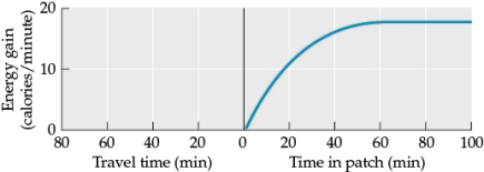 Refer to the figure.   - If travel time is 20 minutes, what is the optimal giving up time? A)  Around 10 minutes B)  Around 30 minutes C)  Around 60 minutes D)  Around 80 minutes