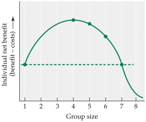 Refer to the figure.   Based on the figure, which of the following statements is false? A)  If there is a group of two individuals, a lone individual would benefit from joining the group, but the original members of the group would be harmed. B)  If there is a group of two individuals, a lone individual would benefit from joining the group and the original members of the group would benefit as well. C)  If there is a group of five individuals, a lone individual would benefit from joining the group, but the original members of the group would be harmed. D)  If there is a group of seven individuals, a lone individual joining the group would harm both the new group member and the original group members.