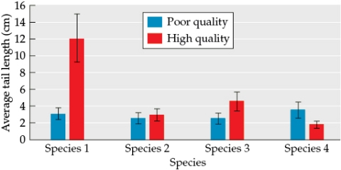 Refer to the figure. Figure 2    You are studying four bird species to determine the differences between poor-quality and high-quality males. - You collect the data shown in Figure 2. Suppose some females are not very skilled at detecting small differences in tail length. When they perceive a difference in tail length, these females always choose the males with the longer tails. Assuming that high-quality males do have longer-than-average tails, in which species would females be most likely to correctly assess male quality by tail length? Why? In which group might you expect these females to make the most assessment mistakes? Why?
