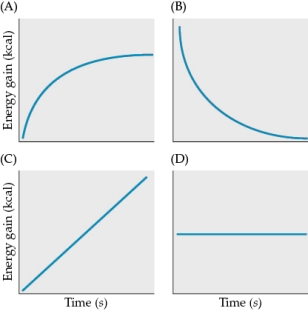Refer to the figures.   Suppose an animal is foraging in an area with an infinite amount of food. Which figure best depicts the animal's rate of energy gain? A)  Figure A B)  Figure B C)  Figure C D)  Figure D