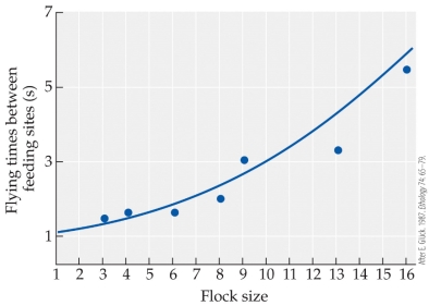 Refer to the figure.   The figure shows data from a study on goldfinches to determine how foraging behavior changes with group size (referred to in the figure as flock size) .  -Based on the figure, how many more seconds would a flock of 15 individuals spend flying between feeding sites compared to a flock of 5 individuals? A)  About 1 second more B)  Slightly less than 2 seconds less C)  About 2 seconds more D)  A little over 3 seconds more