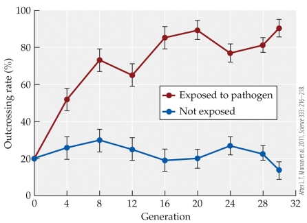 Refer to the figure.   This figure presents data from a laboratory experiment using the nematode worm Caenorhabditis elegans and its lethal bacterial pathogen Serratia marcescens. Which of the following is not a reasonable inference from this figure? A)  When the pathogen is present in the environment, selection favors the production of more genetically variable offspring. B)  Selection for resistance to pathogens may counterbalance the cost of males in explaining why sexual reproduction is so widespread among organisms. C)  There is genetically based variation in C. elegans populations for outcrossing frequency. D)  In wild populations of C. elegans, outcrossing rates likely tend to be between around 70-90%.