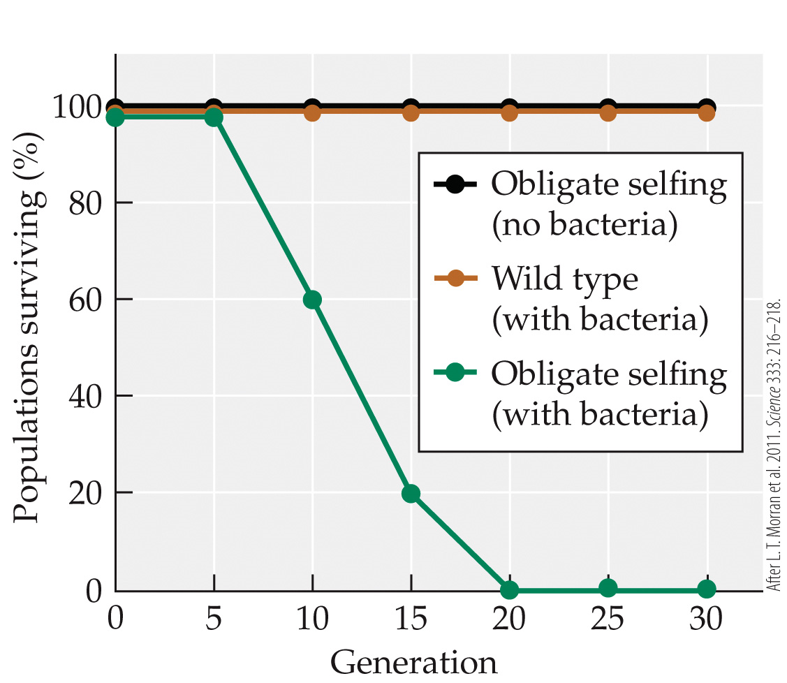 Refer to the figure.   The figure shows the results of an experiment where wild type and obligate selfing (i.e. self-fertilizing)  C. elegans nematode worms were reared across many generations, with and without their lethal bacterial pathogen, Serratia marcescens. Which of the following is not a reasonable inference from this figure? A)  C. elegans populations with very limited genetic variation are more vulnerable to pathogens. B)  Outcrossing may be advantageous only under particular conditions. C)  After 30 generations, mortality rate from S. marcescens for a treatment  Wild type (no bacteria)   would probably be around 0%. D)  After 30 generations, mortality rate from S. marcescens for a treatment  Wild type (no bacteria)   would probably be around 100%.