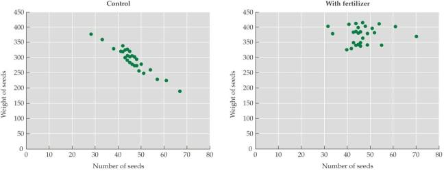 Refer to the figure. - Seedlings of an annual plant were split into two equal treatment groups; in one group, extra fertilizer was added, and in the other group (the control group), no additional fertilizer was added. The numbers of seeds and the average weight of the seeds from each individual plant were monitored, and these data were plotted (each point represents an individual plant). According to the figure, it appears that fertilizer treatment _______ seed size and _______ seed number. A) increased; had no effect on B) increased; increased C) had no effect on; decreased D) decreased; increased