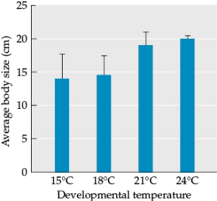 Refer to the figure.    This figure is based on data from a study of how ambient temperature during development affects adult body size. The figure shows data for individuals of a single genotype in a single species. A total of 20 individuals were raised under different temperature treatments.  -The blue bars show the average body size of individuals for each temperature treatment, and the black bars provide a measure of the variation in body size recorded for each treatment. Which developmental temperature led to the highest variability in offspring size? Which temperature led to the lowest variability in offspring size? How did you assess the effect of temperature on body size variation? What is the term that best describes this pattern?