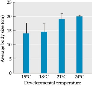 Refer to the figure.    This figure is based on data from a study of how ambient temperature during development affects adult body size. The figure shows data for individuals of a single genotype in a single species. A total of 20 individuals were raised under different temperature treatments.  -The blue bars show the average body size of individuals for each temperature treatment, and the black bars provide a measure of the variation in body size recorded for each treatment. Suppose that this species is an animal. In this animal species, larger individuals have a much higher reproductive output, but smaller individuals are better at surviving unpredictable weather (especially colder temperatures). Over a long time scale, how might the average size of individuals of this species be affected by the predictability of average temperatures?