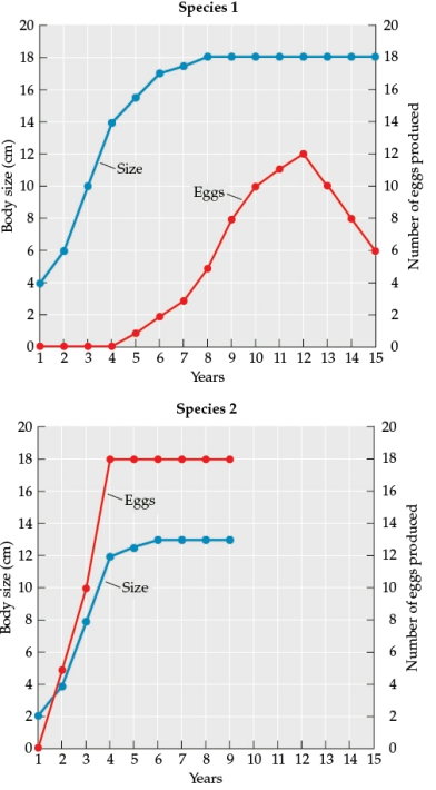 Refer to the figure.     -The figure is based on data from a study of the body size and reproductive output of individual females of two different species (species 1 and species 2) over time. Each figure illustrates the growth and reproduction of each individual over its life span. Based on the body size and reproductive output of these two individuals, is there any evidence of a trade-off? Describe evidence that you think supports or does not support the hypothesis that there is a trade-off.
