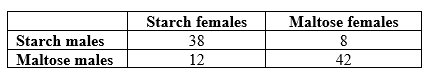 Refer to the table.   Suppose that, following the experiments by Dodd, Drosophila pseudoobscura are raised on one of two diets (starch or maltose)  for many generations. Once they have adapted to the new food sources, individual females from the starch treatment are given a choice between a male adapted to starch (a starch male) , or a male adapted to maltose (a maltose male) . When 50 females have chosen a mate, the experiment is repeated with females adapted to maltose. The results are in the table. Which conclusion is best supported by the data? A)  No reproductive barriers evolved. B)  Partial reproductive barriers evolved in one direction of the cross, with maltose-adapted females choosing maltose-adapted males over starch-adapted males. C)  Partial reproductive barriers evolved in both direction of the cross. D)  Complete reproductive barriers evolved in both directions of the cross.