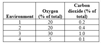 Refer to the table showing the oxygen and carbon dioxide concentrations of four different environments.   In which environment would we expect photorespiration to be highest? A)  Environment 1 B)  Environment 2 C)  Environment 3 D)  Environment 4