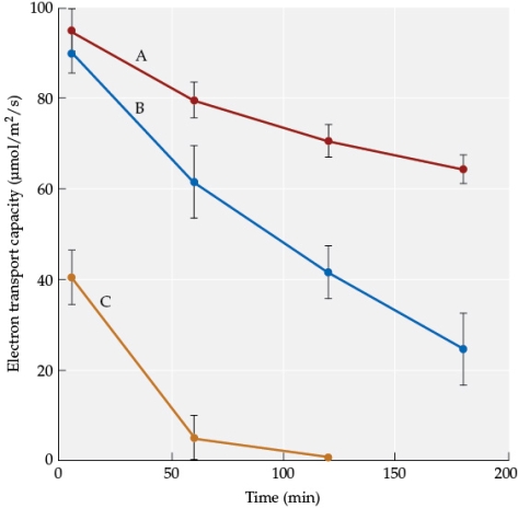 Refer to the figure showing results from an experiment by Kozaki and Takeba on genetically altered tobacco plants under conditions that promote damage to photosynthetic membranes.   Curve _______ represents the plants altered to reduce their photorespiration rates; curve _______ represents plants altered to increase photorespiration rates. A)  A; C B)  B; C C)  C; A D)  A; B
