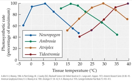 Refer to the figure. illustrating the effect of tissue temperature on photosynthetic rates in four different plant species.   Which plant is most effective in photosynthesizing at tissue temperatures of 15°C? A)  Neuropogon B)  Ambrosia C)  Atriplex D)  Tidestromia